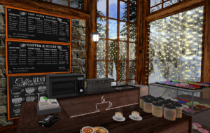 Photo of the counter and menu board at the Frosty Toes Book and Coffee Shop in Secondlife
